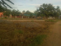 farm-for-sale-in-mpongwe-small-5