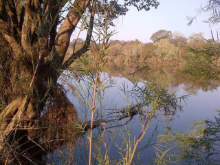 Farm For Sale In Mpongwe