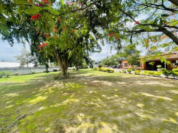 property-for-sale-in-chudleigh-big-5