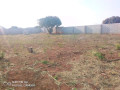 plot-for-sale-in-lilayi-small-2