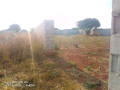 plot-for-sale-in-lilayi-small-1