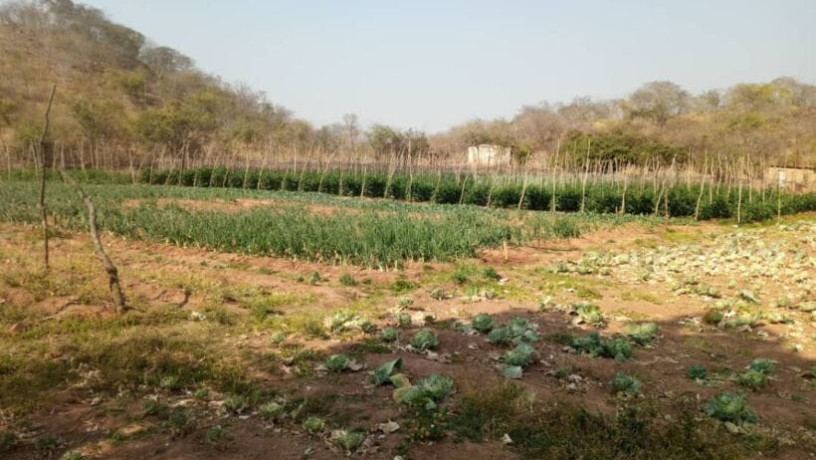 5-hectares-farm-for-sale-in-kafue-big-5