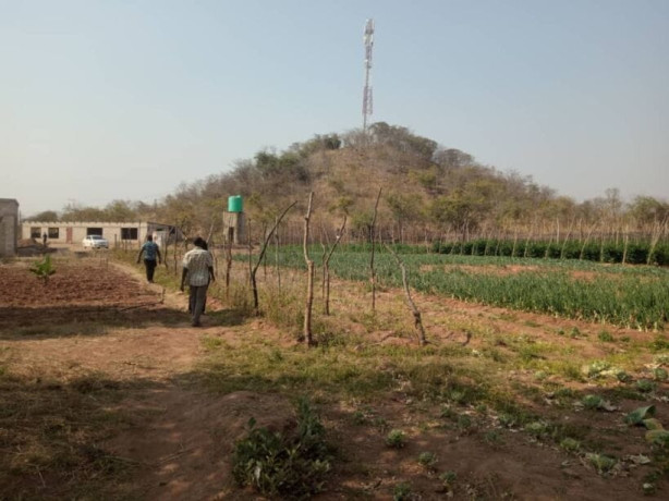 5-hectares-farm-for-sale-in-kafue-big-3
