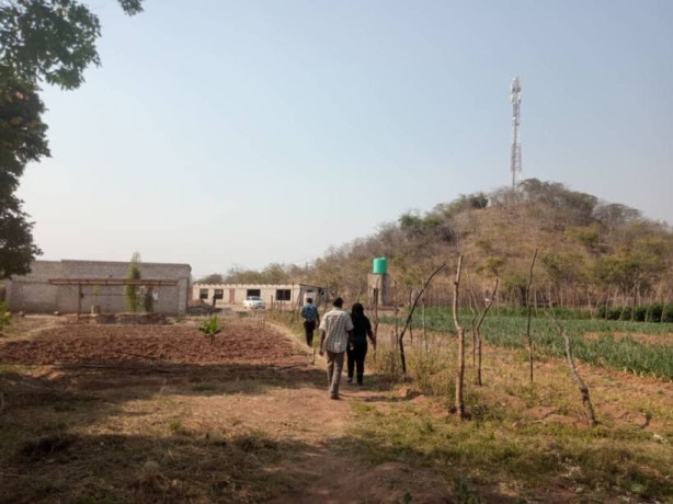 5-hectares-farm-for-sale-in-kafue-big-4