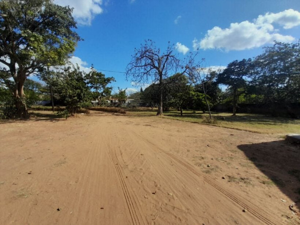 house-for-sale-in-roma-big-2