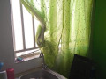 1-bedroom-flat-for-rent-in-chalala-small-7