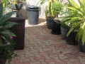 2-bedroom-flat-for-rent-in-chalala-small-6