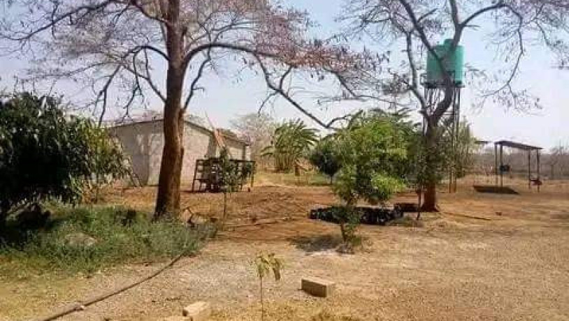 10-acres-farm-for-sale-in-makeni-konga-big-6