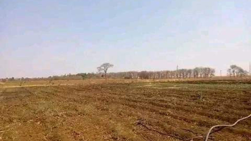 10-acres-farm-for-sale-in-makeni-konga-big-5