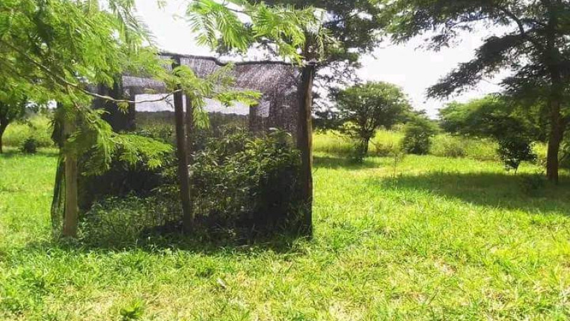 10-acres-farm-for-sale-in-makeni-konga-big-1