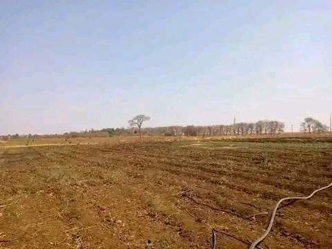 10-acres-farm-for-sale-in-makeni-konga-big-5