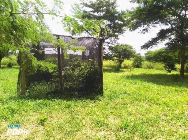 10-acres-farm-for-sale-in-makeni-konga-big-1