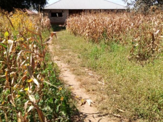 5 Acres For Sale in Kalundu