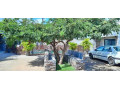 3-bedroom-flat-for-rent-in-new-kasama-small-0