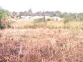 1500-sq-mt-of-land-for-sale-small-1