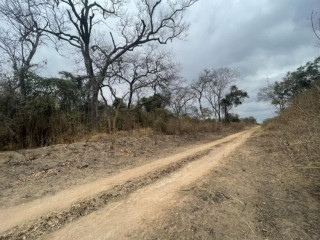 5 Acre Plot for Sale in Meanwood Ndeke