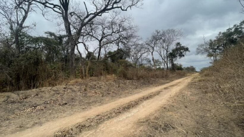 5-acre-plot-for-sale-in-meanwood-ndeke-big-1