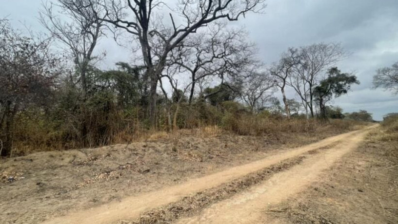 5-acre-plot-for-sale-in-meanwood-ndeke-big-7