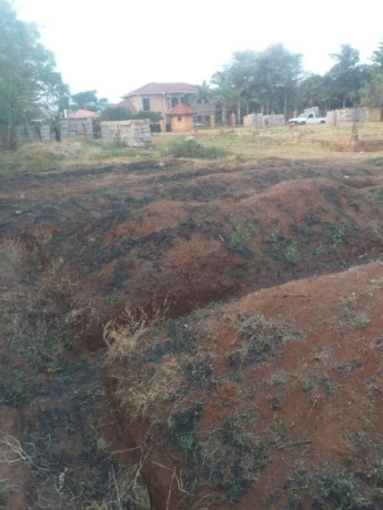 land-for-sale-in-ibex-meanwood-big-3