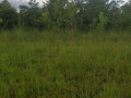 30-hectares-land-for-sale-in-chibombo-small-0