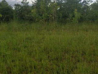 30 Hectares Land For Sale In Chibombo