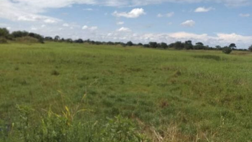 30-hectares-land-for-sale-in-chibombo-big-3