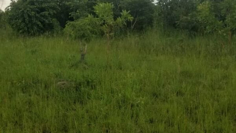 30-hectares-land-for-sale-in-chibombo-big-2