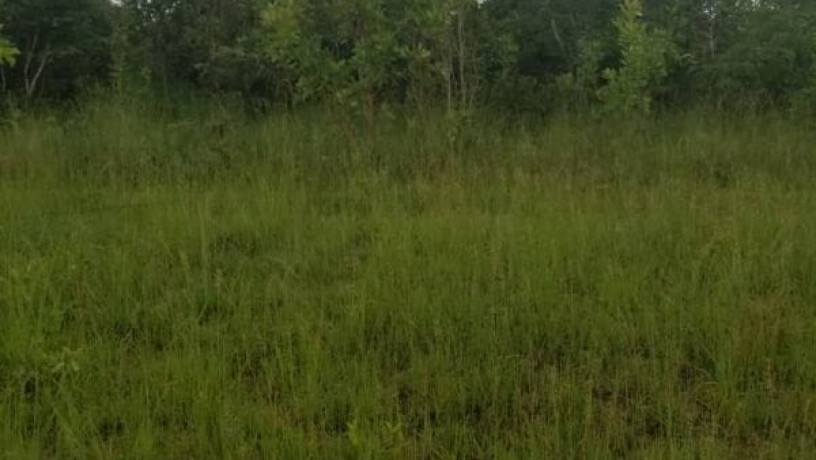 30-hectares-land-for-sale-in-chibombo-big-0