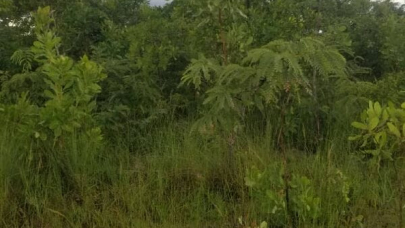 30-hectares-land-for-sale-in-chibombo-big-1