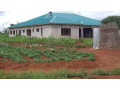 4-bedroom-house-for-sale-in-libala-south-small-0