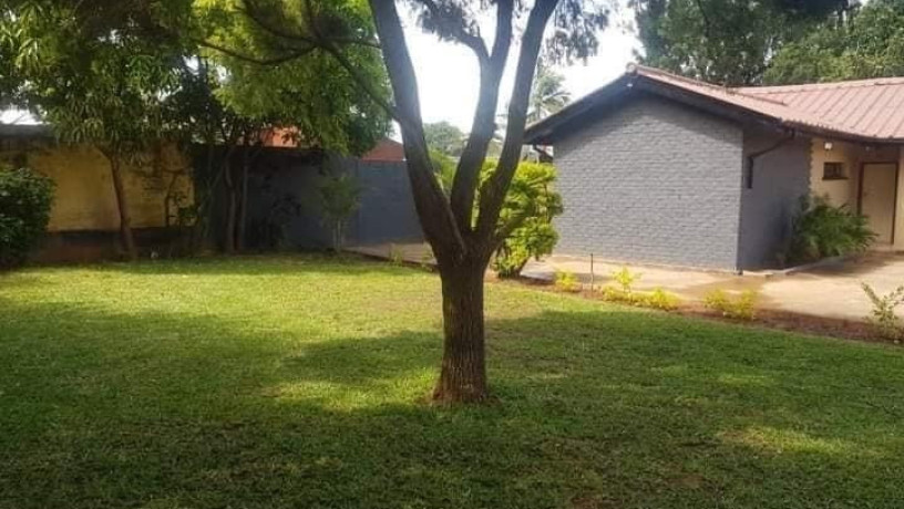 3-bedroom-house-for-rent-in-avondale-big-5