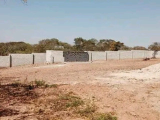 50m by 50m Plot For Sale In New Kasama