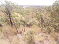 land-for-sale-in-chilanga-small-3