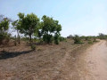 25-acres-land-for-sale-in-chongwe-small-3