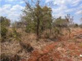 25-acres-land-for-sale-in-chongwe-small-2