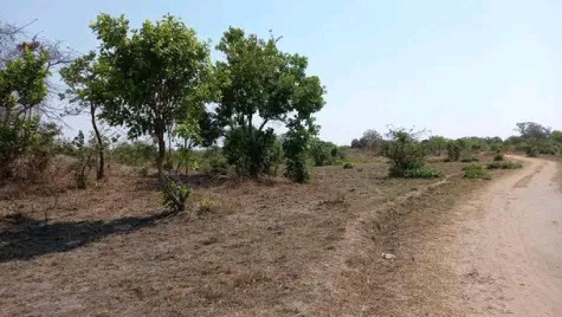 25-acres-land-for-sale-in-chongwe-big-3