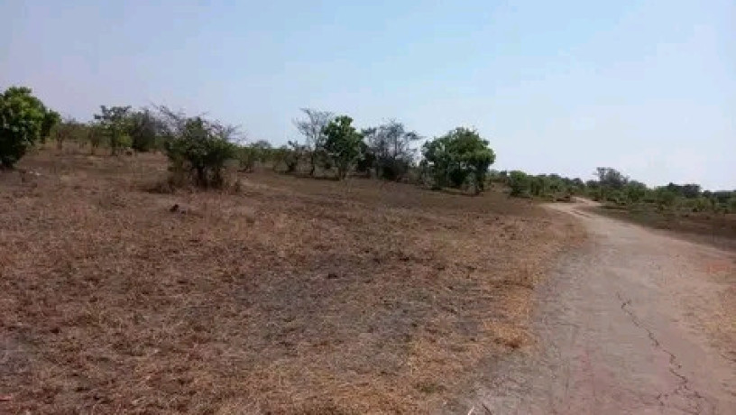 25-acres-land-for-sale-in-chongwe-big-1