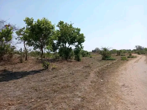 25-acres-land-for-sale-in-chongwe-big-3