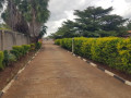 property-for-sale-in-lilayi-small-5