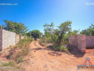 60m by 40m Plot For Sale in Woodlands