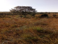 10-acres-land-for-sale-in-new-kasama-small-3