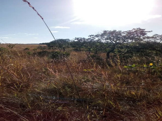 10 Acres Land For Sale in New Kasama