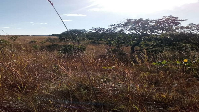 10-acres-land-for-sale-in-new-kasama-big-0