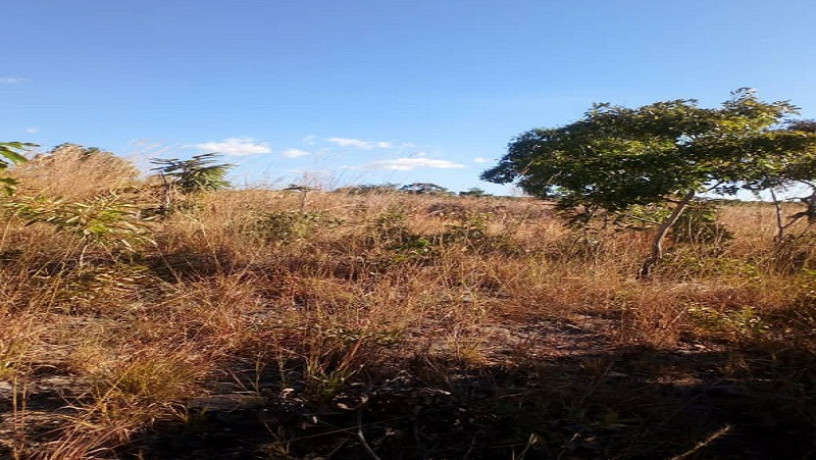 10-acres-land-for-sale-in-new-kasama-big-1