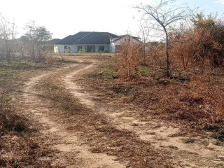 plots-for-sale-in-silverest