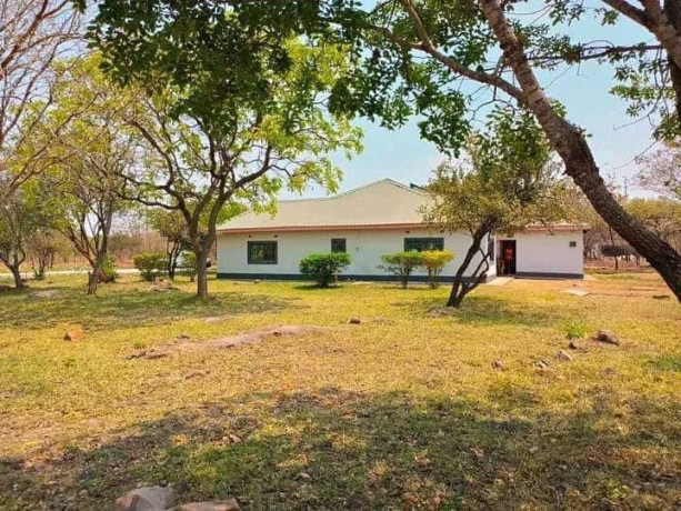 4-bedroom-house-for-rent-in-new-kasama-big-3