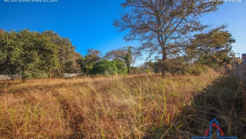 66m-by-46m-plot-for-sale-in-state-lodge-big-2