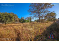 66m-by-46m-plot-for-sale-in-state-lodge-small-2