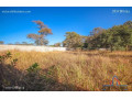 66m-by-46m-plot-for-sale-in-state-lodge-small-3