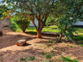 3-bedroom-house-for-sale-in-old-avondale-small-0